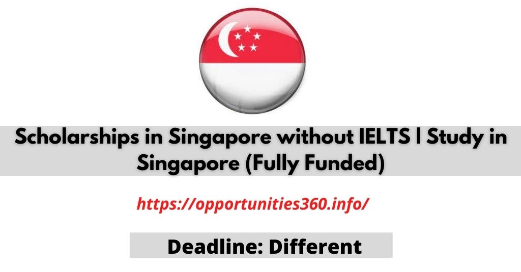 Scholarships in Singapore without IELTS